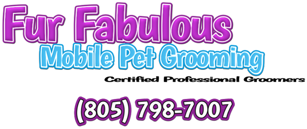 Logo and phone number 805-798-7007